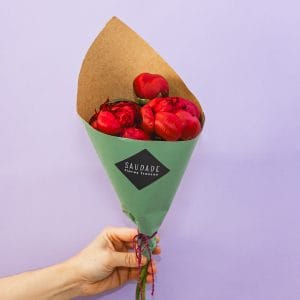 Trio de Peónias (somente as 3 flores)